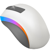 a computer mouse